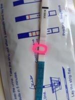 20190407_110223.jpg