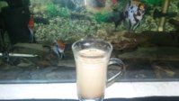 kafe.jpg
