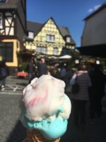 CC0E95F4-FBFF-4286-A626-4C4183DDC50C.jpeg