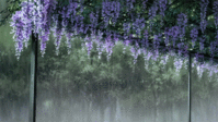 T60Dt1V.gif