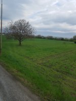 20190410_080504.jpg