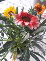 20190410_142409.jpg