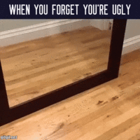 pas-na-ogledalu.gif