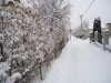 DSC00246.JPG