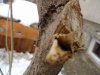 DSC00485.JPG