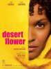 Desert flower.jpg