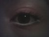 IMG0800A.jpg