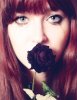 rose_by_leeninek-d4qlmjm.jpg