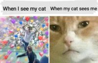FB_IMG_1553897926107.jpg