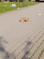 IMG_20190420_074045.jpg