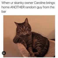 FB_IMG_1555961553203.jpg