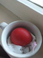 20190425_075615.jpg