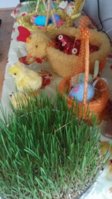 20190425_182829.jpg