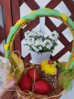 20190426_084822.jpg