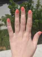 20190426_125230.jpg