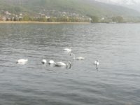 IMG_20190426_164622.jpg