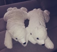IMG_20190426_221132.jpg