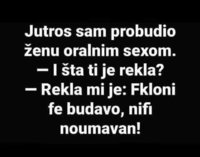 FB_IMG_1556531689614.jpg