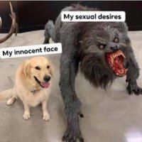 FB_IMG_1556620174750.jpg
