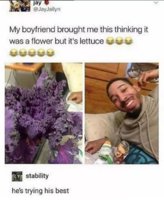 FB_IMG_1556806300638.jpg