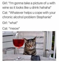 FB_IMG_1556789090159.jpg