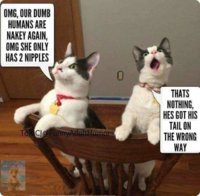 FB_IMG_1556633979406.jpg