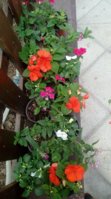 IMG_20190504_171922.jpg