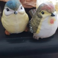 IMG_20190504_172029.jpg