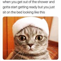 FB_IMG_1557136458440.jpg