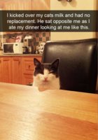 FB_IMG_1557313844797.jpg