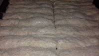 20190512_185919.jpg