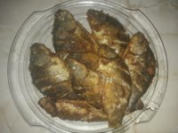 20190512_154659.jpg