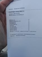 IMG_20190517_120914.jpg