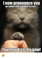 FB_IMG_1558080810269.jpg