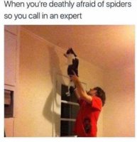 FB_IMG_1557958842207.jpg