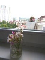 IMG_20190525_172408.jpg