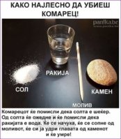 FB_IMG_1559240411442.jpg