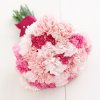 carnations-wedding-flowers.jpg