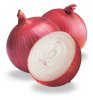 Onions1.jpg