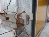 DSC00600.JPG