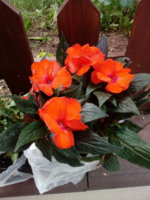 IMG_20190530_111936.jpg