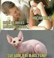 FB_IMG_1559249998093.jpg