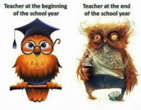 teacherowl.jpg