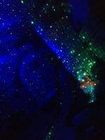 A81B7867-DA45-4747-91E7-78B8591FEAA4.jpeg