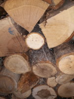 20190607_184659.jpg