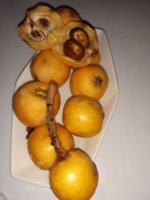 20190608_175619.jpg