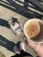80F34246-0ABC-462A-A964-578B6EA39CE8.jpeg