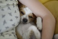 34B44108-0D8F-45CA-8377-4D845E59920D.jpeg