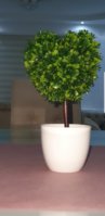 Screenshot_20190610-233211_Gallery.jpg