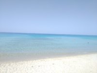 IMG_20190609_110719.jpg